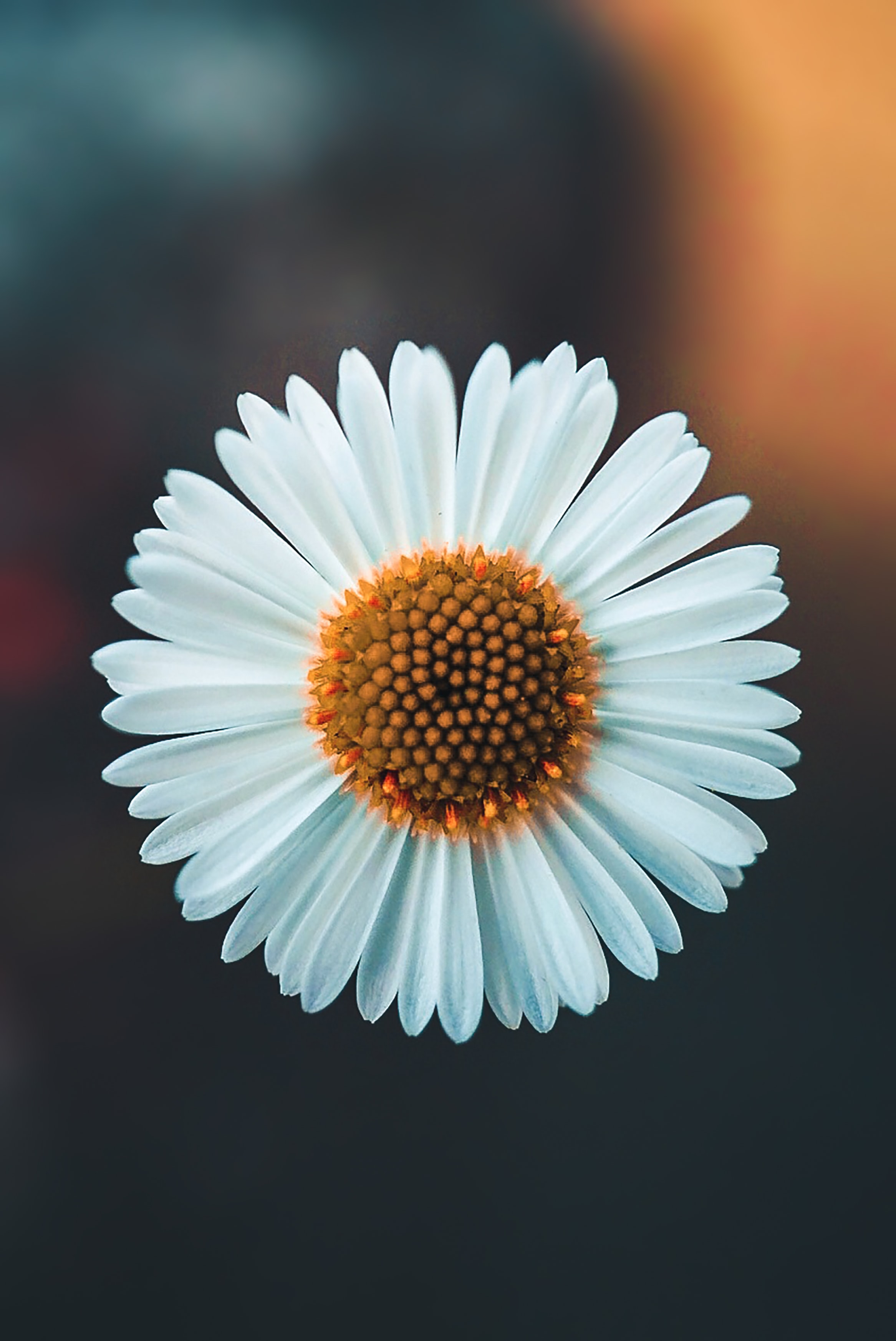 prevention-of-recurrence